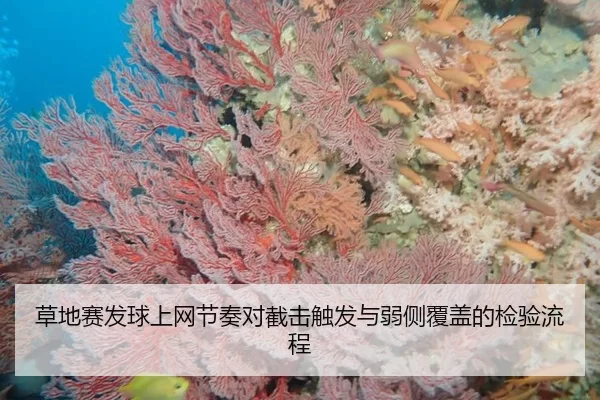 cao-di-sai-fa-qiu-shang-wang-jie-zou-dui-jie-ji-chu-fa-yu-ruo-ce-fu-gai-de-jian-yan-liu-cheng-3-697.jpg