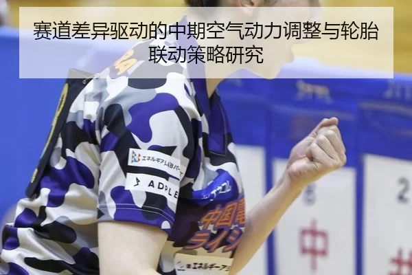sai-dao-cha-yi-qu-dong-de-zhong-qi-kong-qi-dong-li-tiao-zheng-yu-lun-tai-lian-dong-ce-lve-yan-jiu-3-617.jpg
